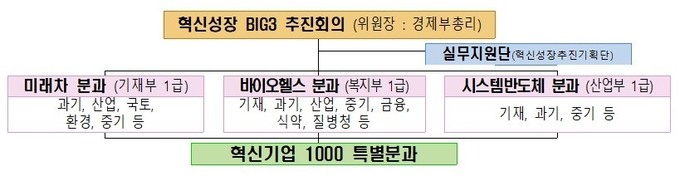 혁신성장 빅3 추진 조직도,/조달청 제공