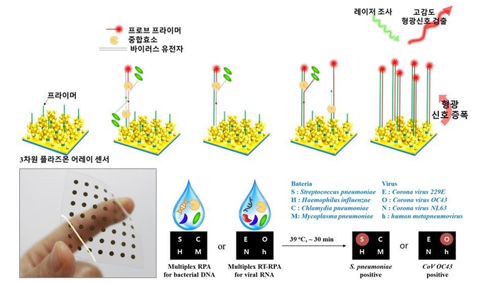 다종 유전자 진단 어레이 센서·신속 등온 PCR 기술 개요 (사진=한국재료연구원)