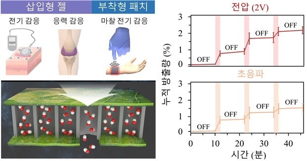 자극 감응형 기능성 나노입자 및 하이드로젤 활용 (사진=DGIST)