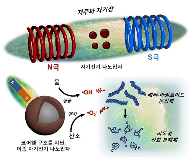 저주파 자기장에 반응해 베타-아밀로이드 응집체를 분해하는 자기전기 나노입자의 모식도 (사진=카이스트)