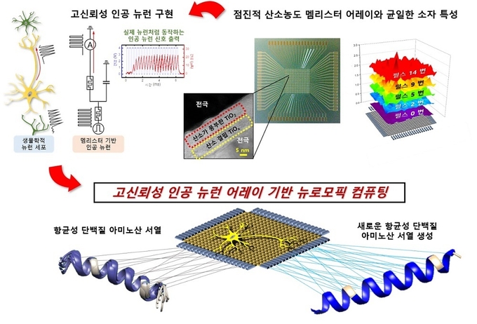 이번 연구에서 구현한 뉴로모픽 컴퓨팅 개념도 (사진=카이스트)