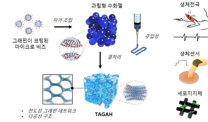 그래핀 네트워크가 포함된 전도성 수화젤 개발 및 의공학적 응용분야 모식도 (사진=지스트)