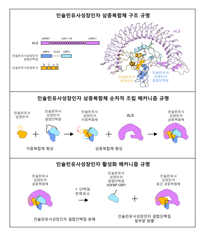 (사진=기초과학연구원)