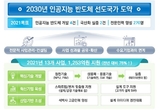 "AI반도체 선도국가 도약" 올해 1253억 투입
